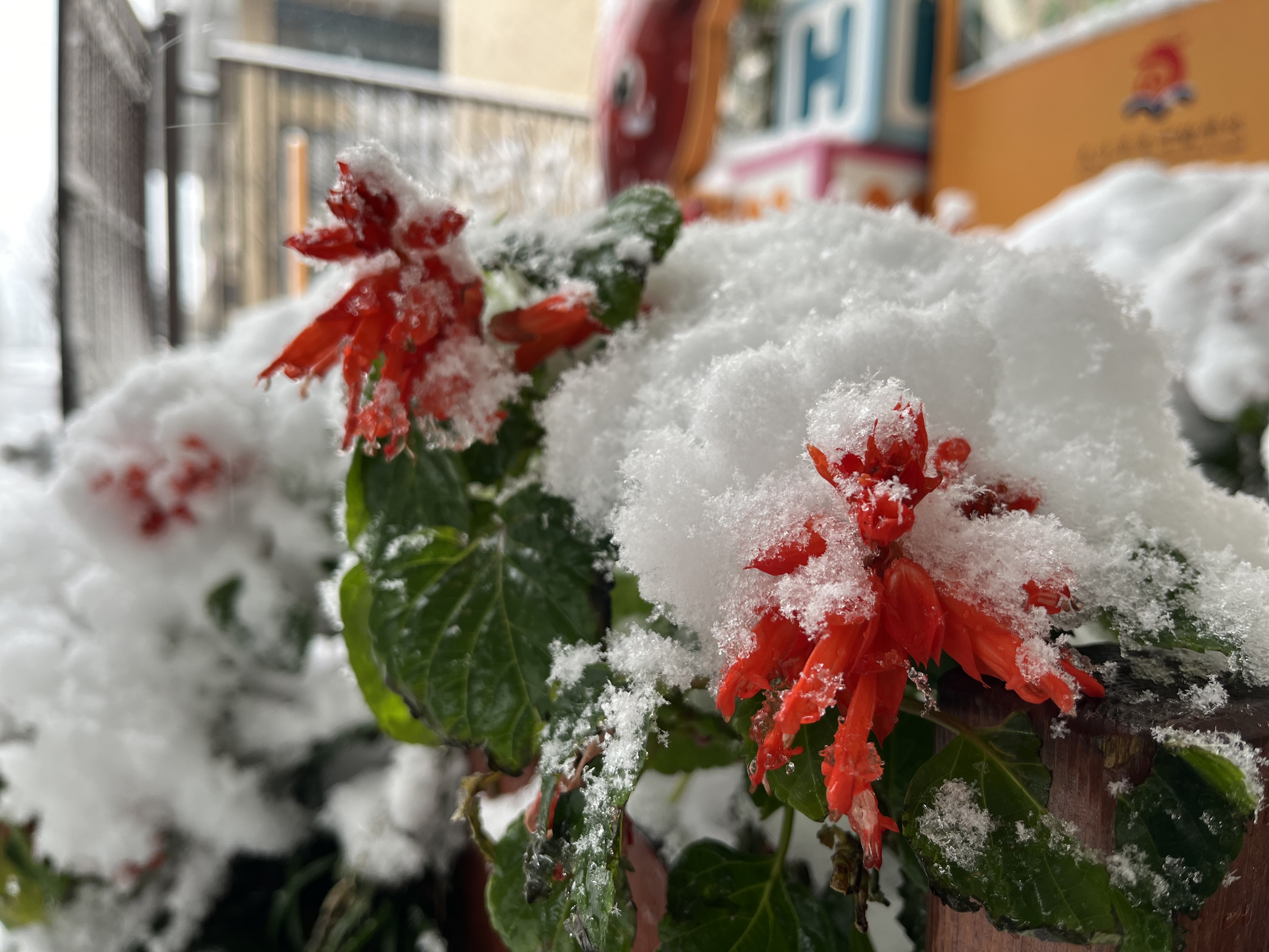 华夏雪景