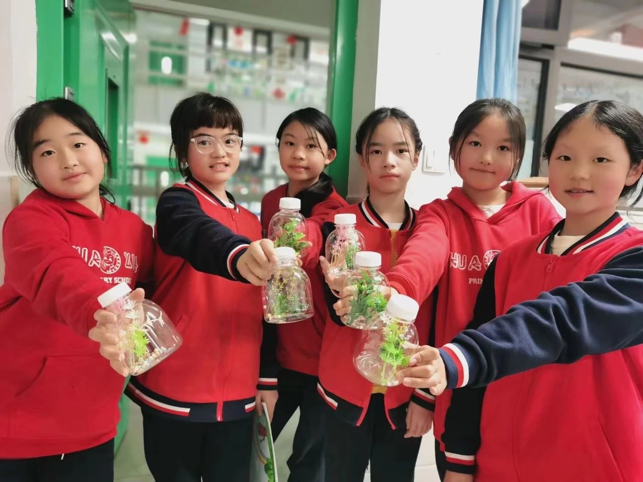 植物的水培之旅│五年级跨学科探索